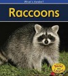 Raccoons: 2nd Edition (What's Awake?) - Patricia Whitehouse