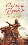 Owain Glyndwr: The Story of the Last Prince of Wales - Terry Breverton