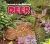 Deer [With Web Access] - Jordan McGill