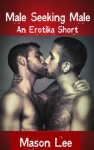 Male Seeking Male (A Gay Erotica Short) - Mason Lee