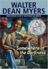 Somewhere In The Darkness - Walter Dean Myers