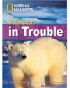 Polar Bears in Trouble - Rob Waring