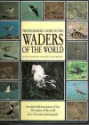 Photographic Guide to the Waders of the World - David Rosair, David Cottridge