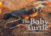 The Baby Turtle: Band 03 - Andy Belcher