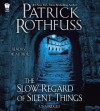 The Slow Regard of Silent Things[SLOW REGARD OF SILENT THING 3D][UNABRIDGED][Compact Disc] - PatrickRothfuss