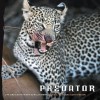 Predator: Life and Death in the African Bush - Mark Ross, David Reesor