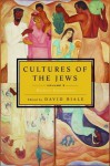 Cultures of the Jews, Volume 3: Modern Encounters - David Biale