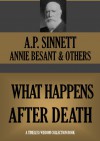 WHAT HAPPENS AFTER DEATH (Timeless Wisdom Collection Book 437) - A.P. SINNET, ANNIE BESANT, VARIOUS