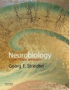 Neurobiology: A Functional Approach - Georg F. Striedter