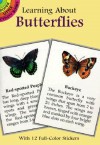 Learning About Butterflies - Jan Sovak