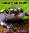 Salamanders - Edward J. Maruska