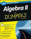 1,001 Algebra II Practice Problems For Dummies (For Dummies (Math & Science)) - Mary Jane Sterling