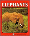 Elephants - Cynthia Overbeck