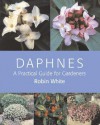 Daphnes: A Practical Guide for Gardeners - Robin White