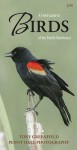 A Field Guide to Birds of the Pacific Northwest - Tony Greenfield, Penny Hall