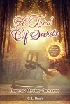 HISTORICAL MYSTERY ROMANCE: A Trial of Secrets: (Regency Mystery Romance, Victorian Mystery Romance, Historical Romance) (Fire In My Heart Series Book 5) - C.L. Bush