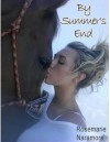 By Summer's End (Christian Fiction) - Rosemarie Naramore