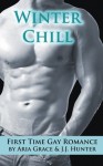 Winter Chill (A First Time Gay Romance) - Aria Grace