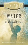 Water in the Wilderness: God's Provision for Our Every Need - T.D. Jakes