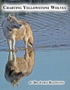 Charting Yellowstone Wolves - James Halfpenny