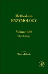 Methods in Enzymology, Volume 480: Glycobiology - Minoru Fukuda