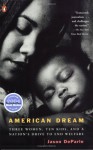 American Dream: Three Women, Ten Kids, and a Nation's Drive to End Welfare - Jason DeParle