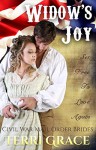 MAIL ORDER BRIDE: Widow's Joy (Civil War Mail Order Brides Book 2) - Terri Grace