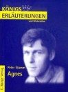 Agnes. Erläuterungen und Materialien. (Lernmaterialien) - Klaus Bahners, Magret Möckel, Peter Stamm