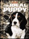 Collins The Ideal Puppy - Gwen Bailey