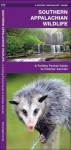 Southern Appalachian Wildlife: A Folding Pocket Guide to Familiar Species - James Kavanagh