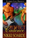 Perfect Cadence - Nikki Soarde