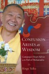 Confusion Arises as Wisdom: Gampopa's Heart Advice on the Path of Mahamudra - Ringu Tulku