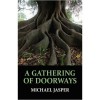 A Gathering of Doorways - Michael Jasper