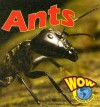 Ants (World Of Wonder) - Heather C. Hudak