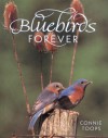 Bluebirds Forever - Connie Toops