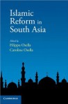 Islamic Reform in South Asia - Filippo Osella, Caroline Osella