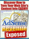 Adsense Revenue Exposed - Michael Rasmussen, M&M Pubs