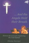 And the Angels Held Their Breath: Sixteen Reasons for Exploring the God-Option - Elaine Farmer