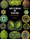 Art Forms in Nature - Ernst Haeckel