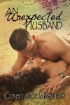 An Unexpected Husband - Constance Masters