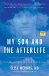 My Son and the Afterlife: Conversations from the Other Side - Elisa Medhus