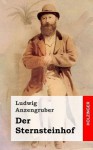 Der Sternsteinhof - Ludwig Anzengruber