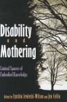 Disability and Mothering: Liminal Spaces of Embodied Knowledge - Cynthia Lewiecki-Wilson, Jen Cellio