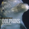 Face to Face with Dolphins - Flip Nicklin, Linda Nicklin