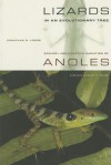 Lizards in an Evolutionary Tree: Ecology and Adaptive Radiation of Anoles - Jonathan B. Losos