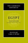 The Cambridge History of Egypt, Volume 1: Islamic Egypt, 640-1517 - Carl F. Petry, M.W. Daly