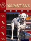 Dalmatians - Lynn M. Stone