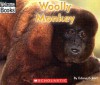 Woolly Monkey - Edana Eckart