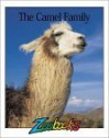 The Camel Family (Zoobooks) - John Bonnett Wexo