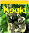 Koala - Rod Theodorou